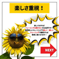 ブログ画像
